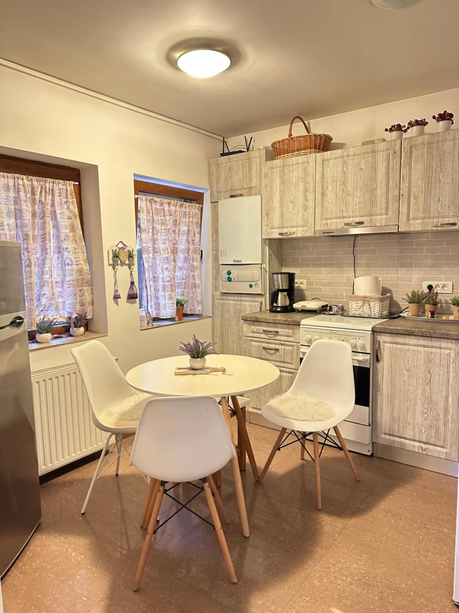Grazia Apartment Timisoara Esterno foto